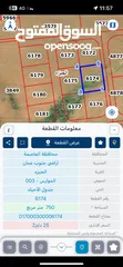  1 ارض 750 متر  سكن ب للبيع  في الجيزه حوض 3 الموارس  مخدومه تصلح للاستثمار او عمل شاليه