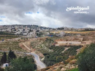  1 قطعة أرض للبيع