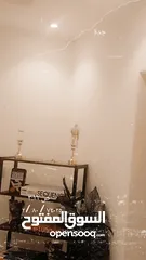  4 كروان لايفوتكم عشاق الهددد الخارجي اعرض لكم هدد داخلي وخارجي كروان الابينو هولدي عيون حمره