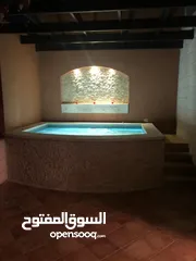  19 شقة مفروشة مميزة للايجار في عبدون