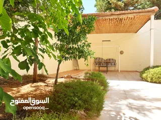  15 Luxury Apartment with big Garden In Dabouq For Rent Fully Furnished