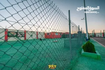  6 احجز لاقامه كلبك وراحته
