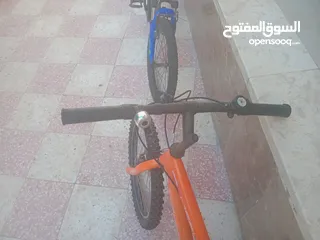  3 بسكليت نمره 20