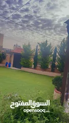  7 بيت مستقل بأجمل مناطق الخليل في ضاحية الزيتون