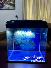  1 Aquarium Tank for Sale!