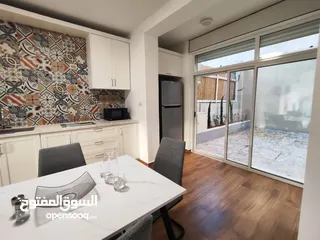  26 شقة جديدة مفروشة مع حديقة للإيجار – عين منجد  شارع إسكان المهندسين