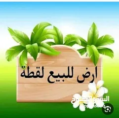 1 ارض للبيع في أربـــــــــــــــــــد ــ ناطفه