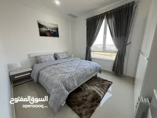  2 FINTAS - Deluxe Fully Furnished 2 BR Apartment