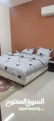  1 Furnished Apartments for Rent (P59)