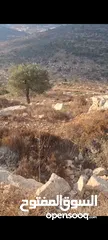  1 ارض للبيع مساحه 400متر منطقه سكن بي  للبيناء