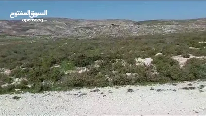  2 قطعة ارض في بيت امرين