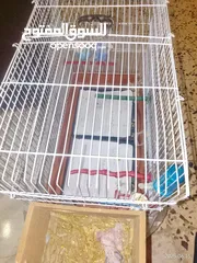  7 عصافير للبيع