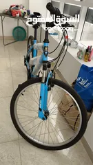  7 bike new blue adult size