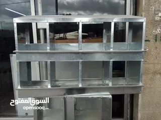  5 صوص لاحم العمايره اعلاف لاحم للصوص والدجاج  وبياض واعلاف محلات بيع الدجاج واعلاف مركز للدواجن