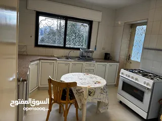  13 Furnished Apartment to Rent  ( Property 41440 )-174804751
