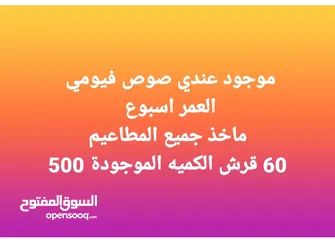  3 موجود عندي فري سوبر  العمر 45 يوم  بياض    الكميه الموجودة 150 حبه