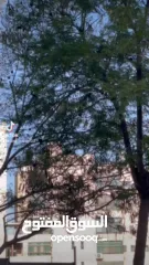  10 سيات إبيزا اكسلانص 2022 اوتومات