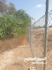  12 مزرعة للبيع بموقع مميز قريب للخدمات والسعر مناسب