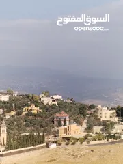  1 5 دنمات دخلة مطعم خيل وليل اكثر من قطعة