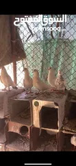 2 حمام للبيع