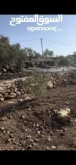  2 ارض للبيع في بلعا