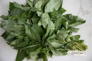  1 ملوووخيه جاهزه للطبخ او تفريزززز فرم على اليد ناعممم السعر حسب الكميه المطلوبه