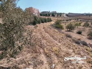  5 لقطة ؛ أرض زراعية مع غرفة على حدود الطفيلة والكرك ، تصلح للاستثمار كمزرعة سياحية أو منتجع سياحي