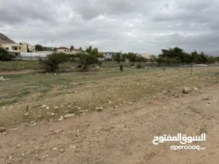  1 أرض للبيع في حي القصب أريحا