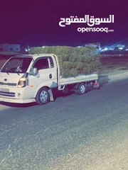  1 كيا بنجو 2012 بسعر مغري