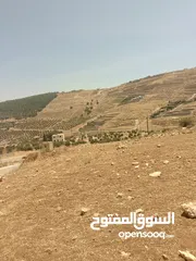  6 أرض للبيع  الكمشه