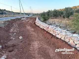  7 ارض للبيع مساحه 6 دونم و 400 متر النعيمه مستصلحه واصل كهرباء على شارع معبد 10 متر وقريبه من الخدمات