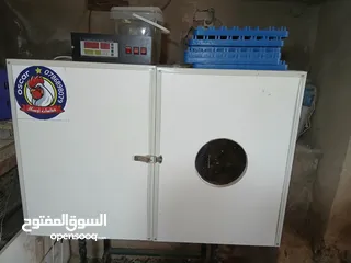 1 فقاسه للبيع