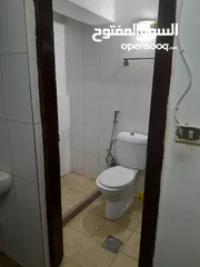  12 شقة للايجار