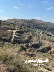  1 أرض للبيع في بلعا