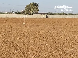  5 مادبا ماعين مشرفه المرعاوي  قطعة ارض زراعية مميزة  ذات اطلالة على البحر الميت واصل الخدمات 4150 متر