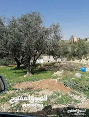 8 ارض سكنيه في ابو نصير، قراية 800 متر تقع على شارعين أمامي خلفي، منسوب خفيف، بعد مستشفى الرشيد