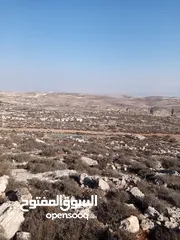  4 ارض للبيع في دير جرير