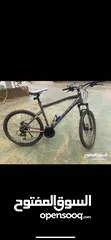  1 بسكليت نص جبلي للبيع بريك زيت