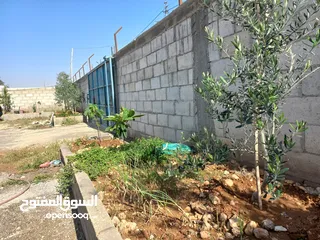  2 بيت للبيع في قرية ابو صياح