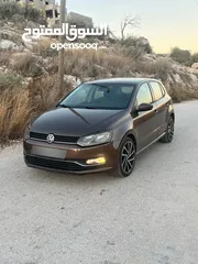  1 بولو جير عادي الحبة النادرة باللون و الجمال و الفحص