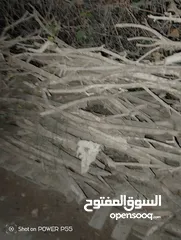  26 تشكيلة حطب للبيع