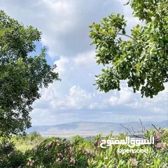  1 ارض للبيع قرب الاكادميه