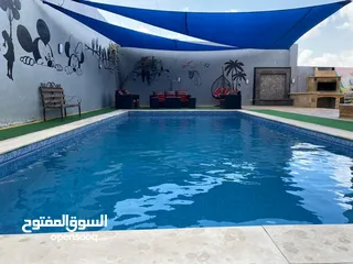  9 شاليه للبيع جرش عنيبه