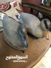  4 بط صيد عدد 2 بلاستيك صناعة امريكية تطفو فوق الماء تصلح لزينة البرك و النوافير