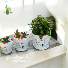  9 توزيعات للمناسبات والهدايا  وقواوير زينة داخل المنزل
