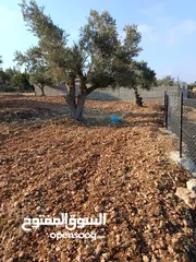  7 ارض للبيع في كوبر