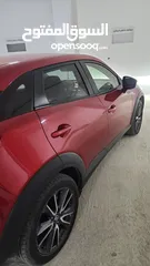  4 زين القواسمه  من الخليل