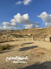  15 مزرعة في مغاريب السلط من المالك مباشرة