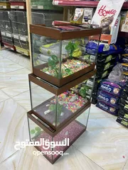  13 أحواض سمك مميز عروض خيالية جودة عالمية تابع الوصف