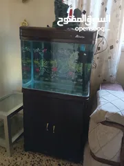  1 حوض سمك اجنبي